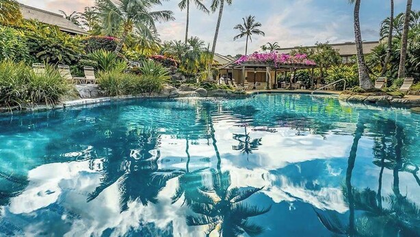 Une piscine entourée de palmiers et d’une végétation luxuriante, avec des chaises longues et un espace salon abrité.