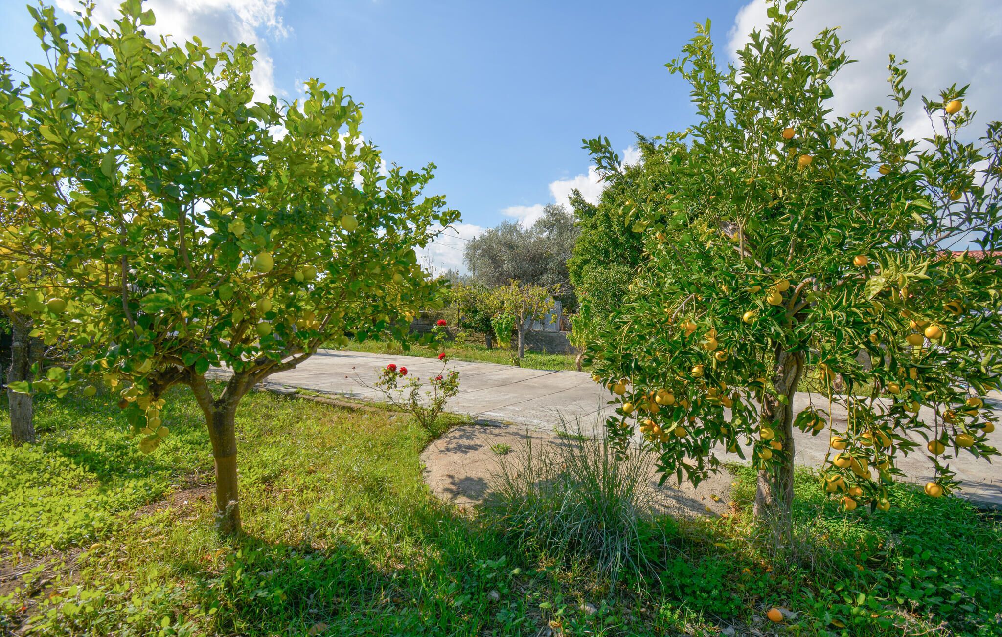 Parco della struttura