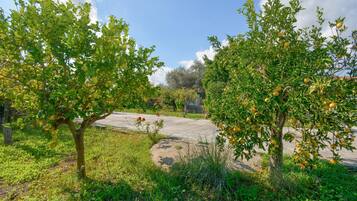 Parco della struttura