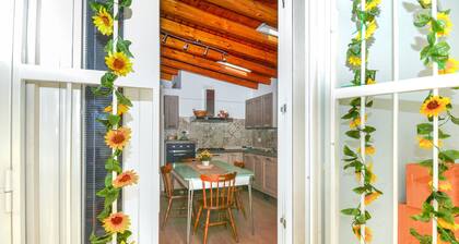 Pet friendly home in Augusta