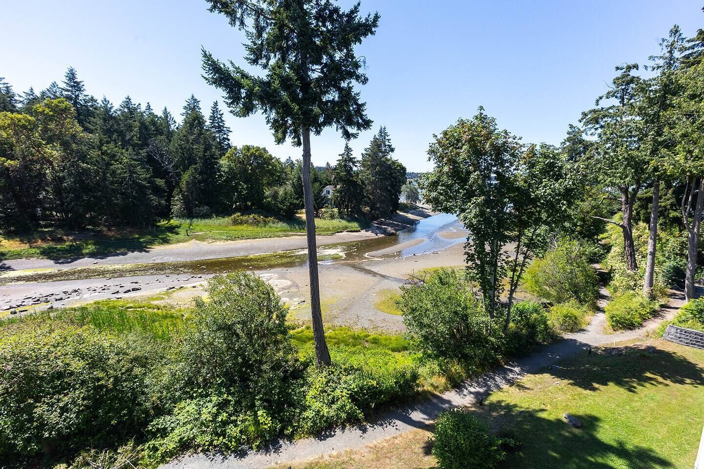 A natural landscape with a river, trees, and a path.