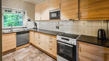 Fridge, oven, stovetop, dishwasher