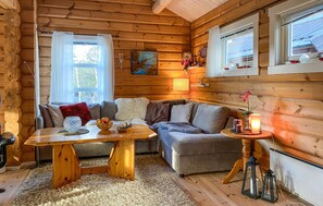 Fireplace - Pet friendly home in Lesjaskog with WiFi (Lesjaskog)