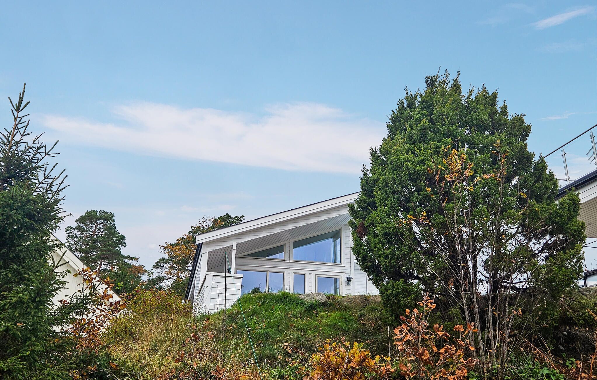 A modern house with a sloped roof, large windows, and surrounded by dense trees and shrubs.
