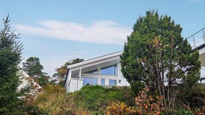 Una casa moderna con tetto spiovente, ampie finestre, immersa in un ambiente di alberi e arbusti fitti.