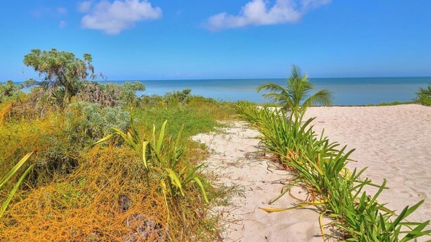 Strand
