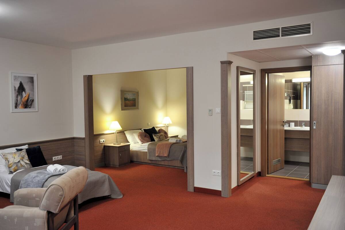 Suite | Free WiFi, wheelchair access