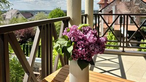 A wooden table with a vase of flowers on a balcony with a view of houses. - d'or Hotel (Codru)