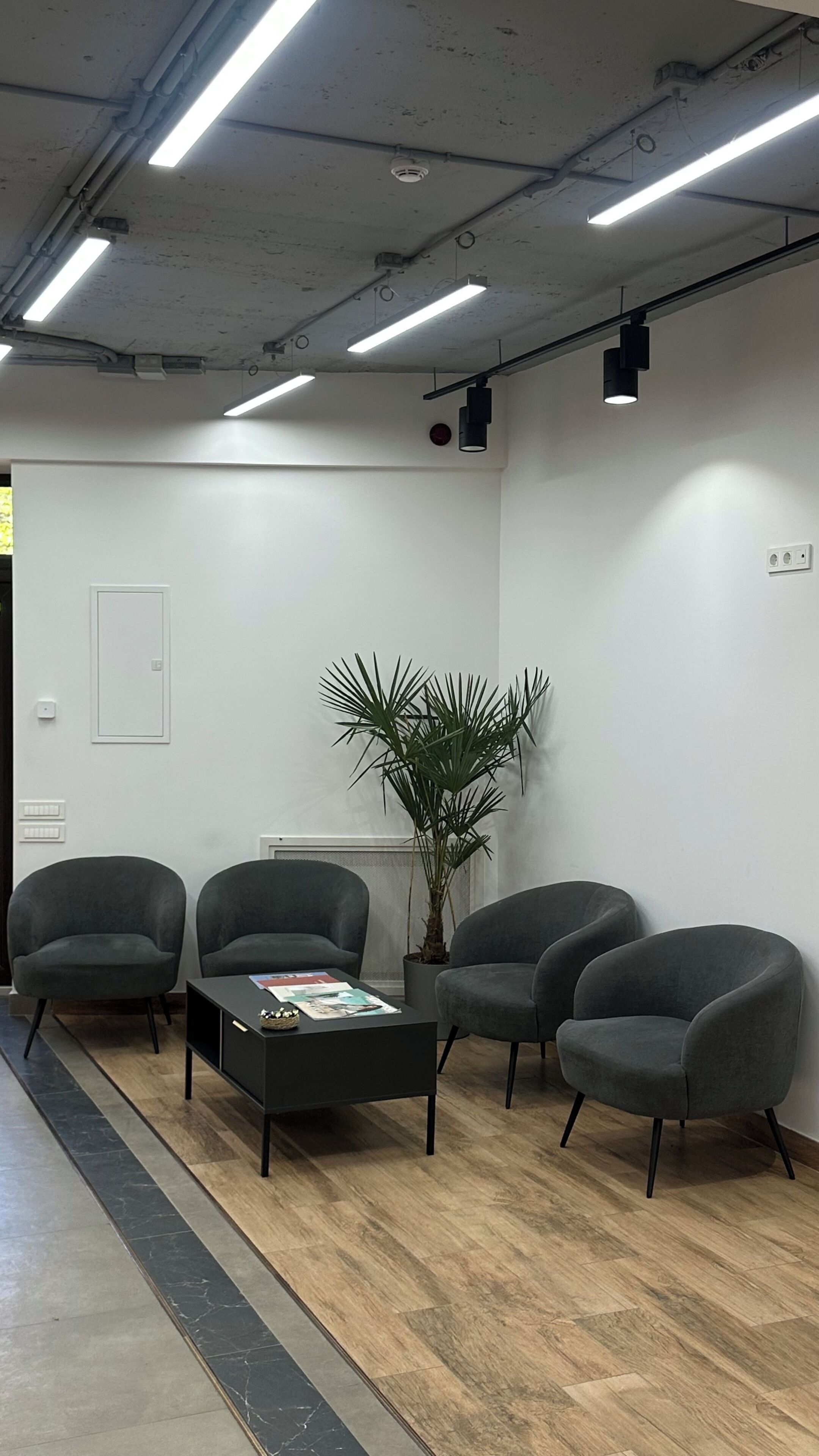 Un espace d’attente comprenant quatre fauteuils gris, une table basse noire et une plante en pot.