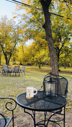 Una mesa metálica redonda con una taza y una jarra de vidrio, rodeada de sillas, en un parque con árboles otoñales.