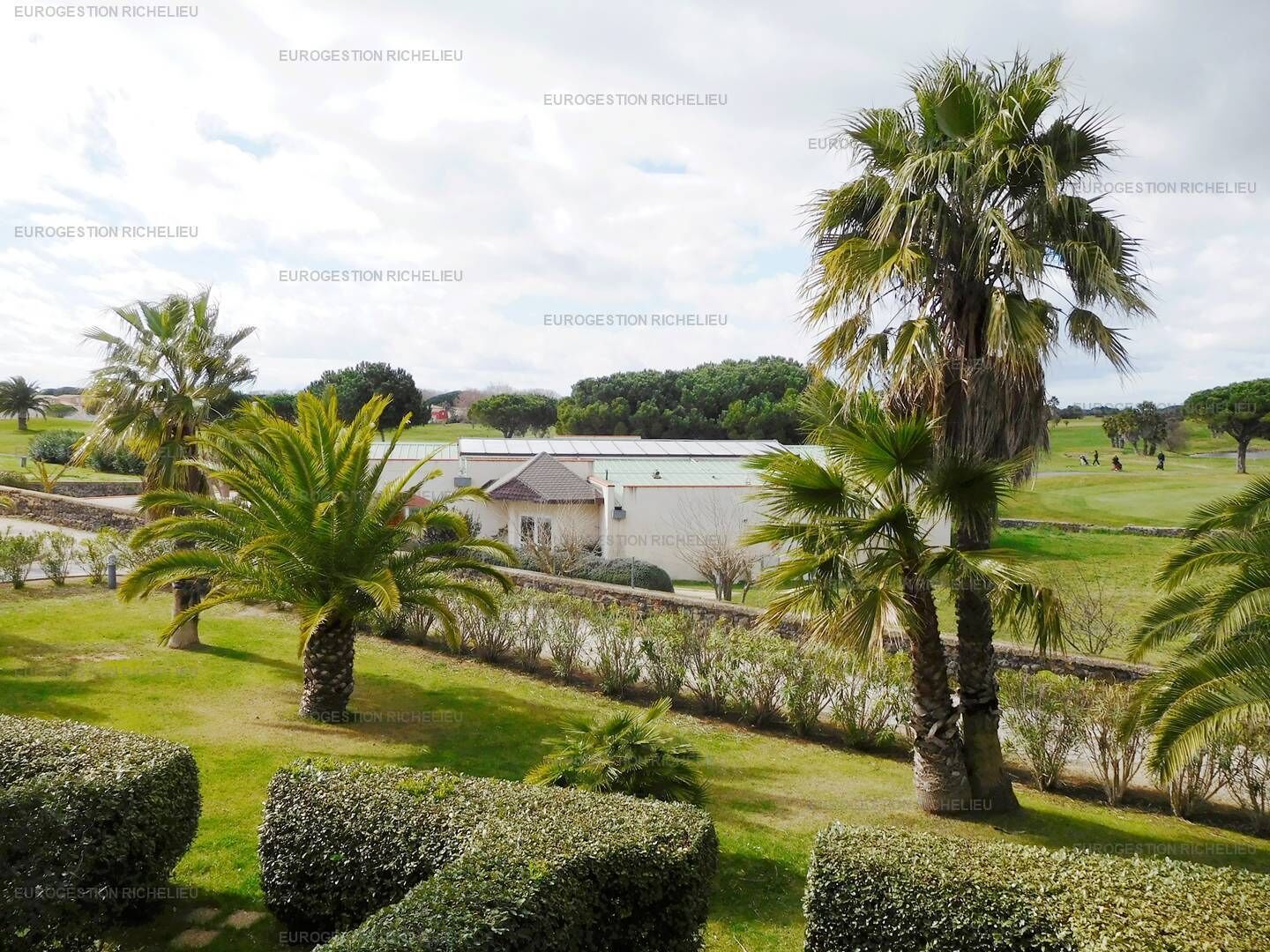 Área da propriedade