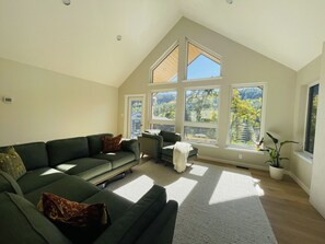 Smart TV, fireplace, books