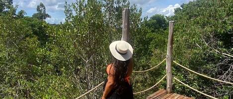 Overnatningsstedets område