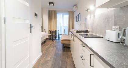 Zygmunta Standard Studio