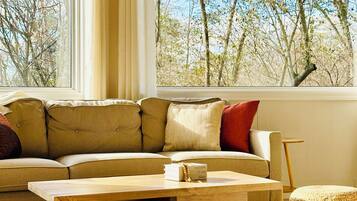 Smart TV, fireplace, books