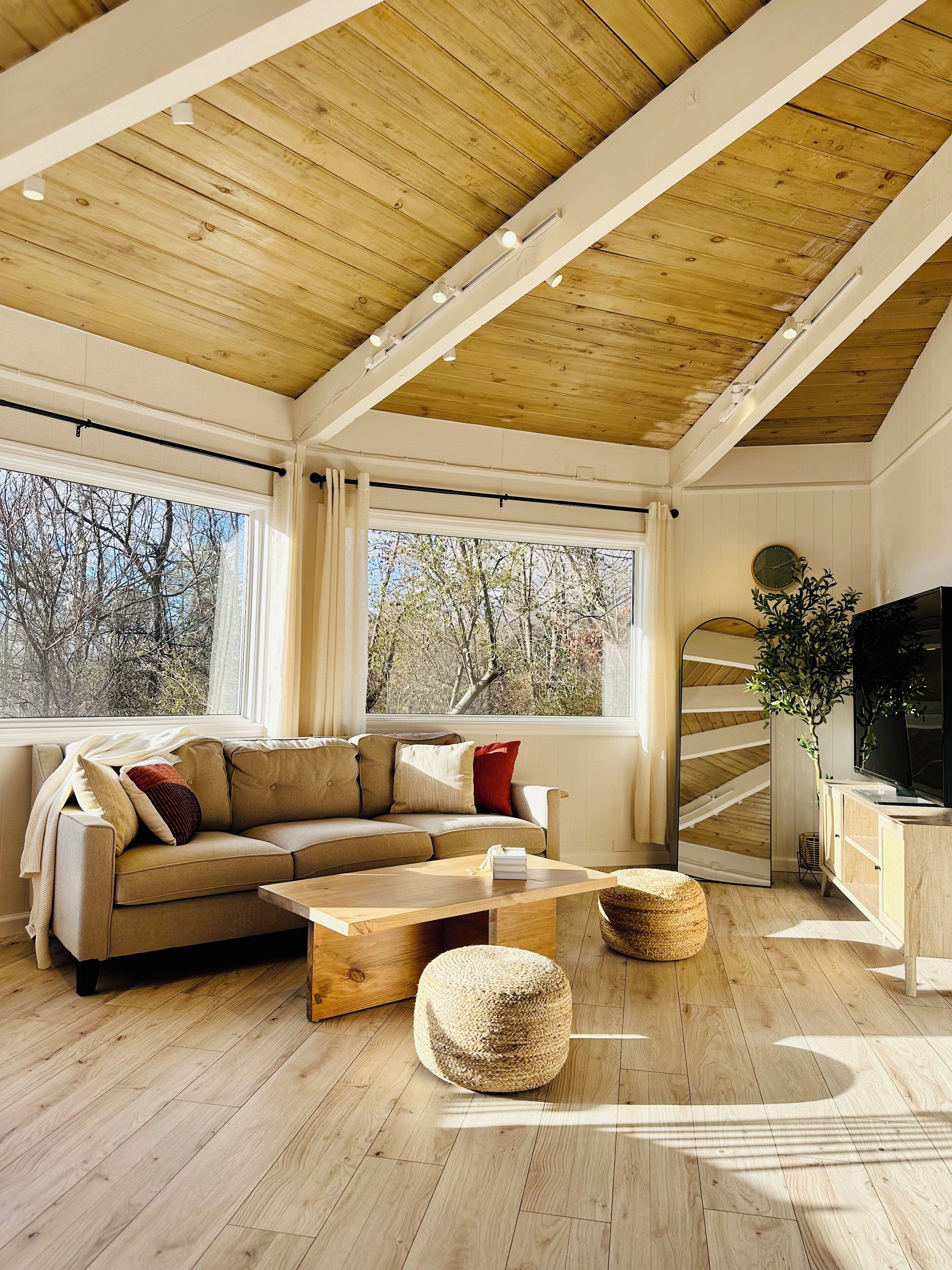 Smart TV, chimenea y libros 