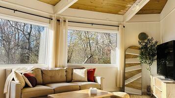 Smart TV, fireplace, books