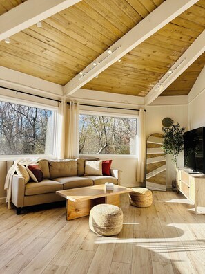 TV connectée, cheminée, livres