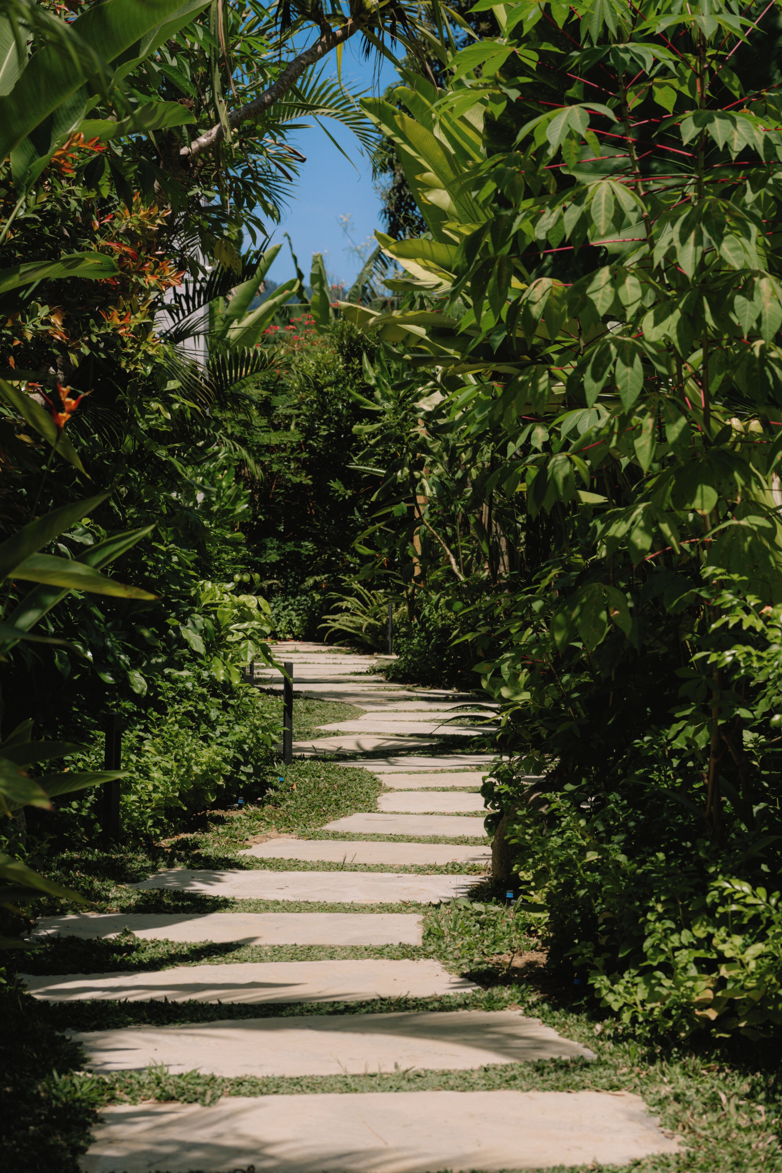 Jardim