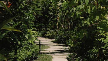 Jardim