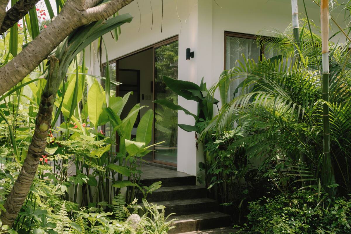A modern house surrounded by lush greenery and a stone pathway leading to the entrance.