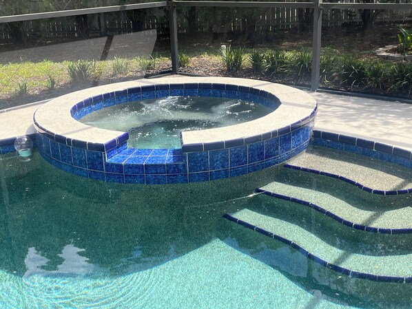 Outdoor pool - Near Clearwater Tampa Serene 3-bedroom house with Hot Tub in charming Oldsmar (Oldsmar)