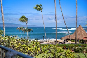 Property grounds - Partial ocean views near Napili Bay! (Napili)