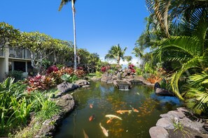 Property grounds - Partial ocean views near Napili Bay! (Napili)
