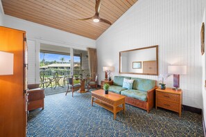 TV - Partial ocean views near Napili Bay! (Napili)