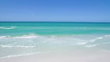 بالقرب من الشاطئ