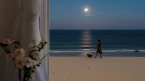 Escena de playa con una persona y un perro caminando por la orilla, un mar tranquilo y una luna visible en el cielo.