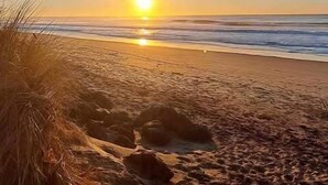 A beach with the sun setting over the horizon, clear skies, and sparse vegetation. - Private Suite, Hot Tub, Bikes, Fireplace, King Bed, stroll to easy beach access (Depoe Bay)