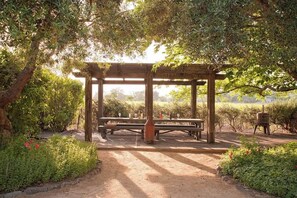 Een houten pergola met een bank eronder, omringd door groen en een heldere lucht.
