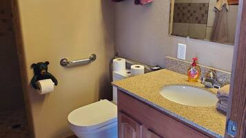 Hair dryer, towels, soap, shampoo