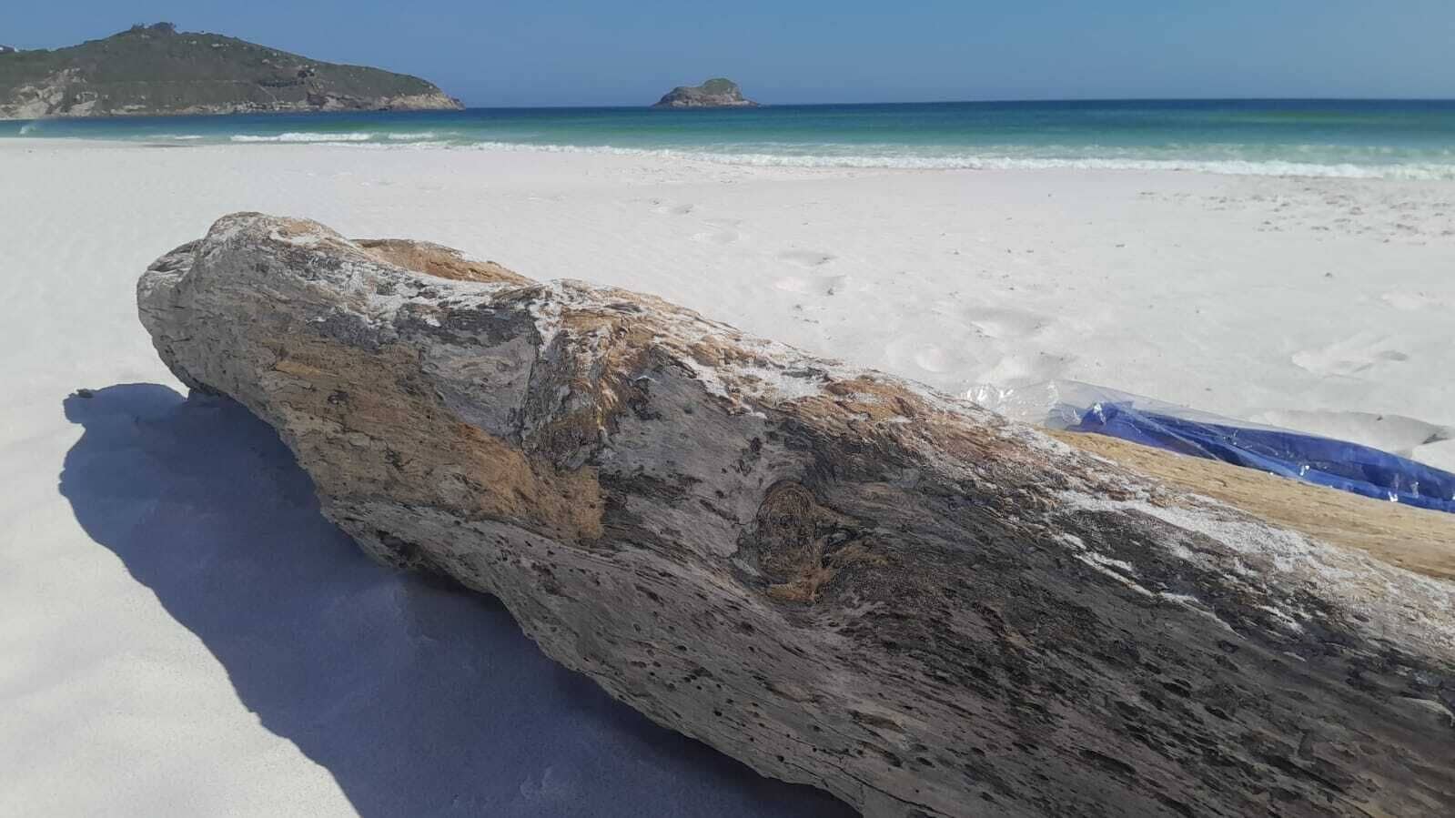 Dobbeltrom | Terrasse/patio