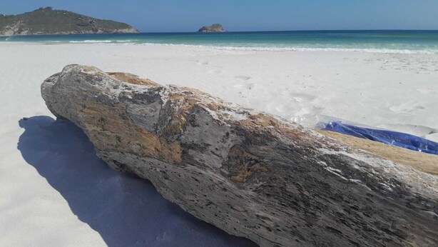 A large rock on a white sandy beach with clear blue water and distant landforms. - Canoa dos Anjos Suites (Arraial do Cabo)