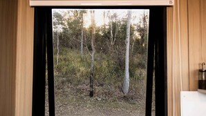 Una pantalla de televisión mostrando un paisaje boscoso.
