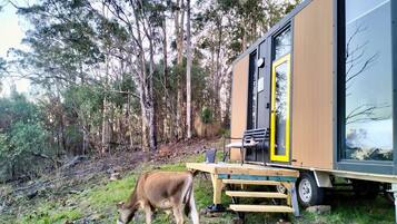 Overnatningsstedets område