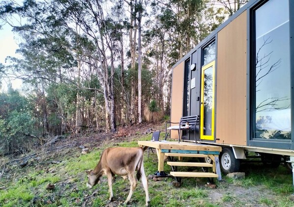 Overnatningsstedets område