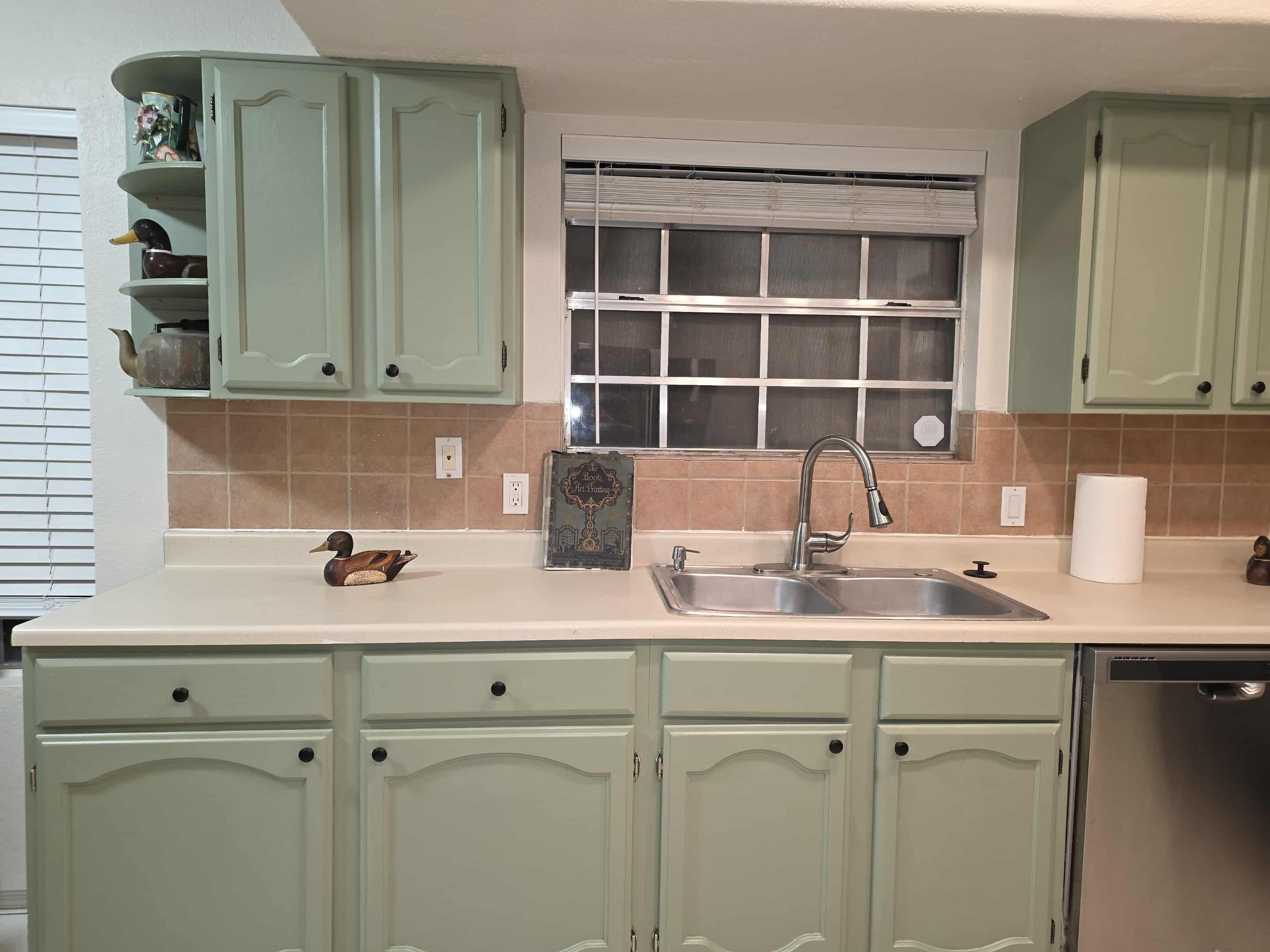 Een microgolfoven, een oven, een kookplaat, een vaatwasser