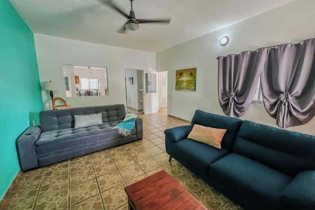 A living room with two sofas, a ceiling fan, and a painting on the wall.