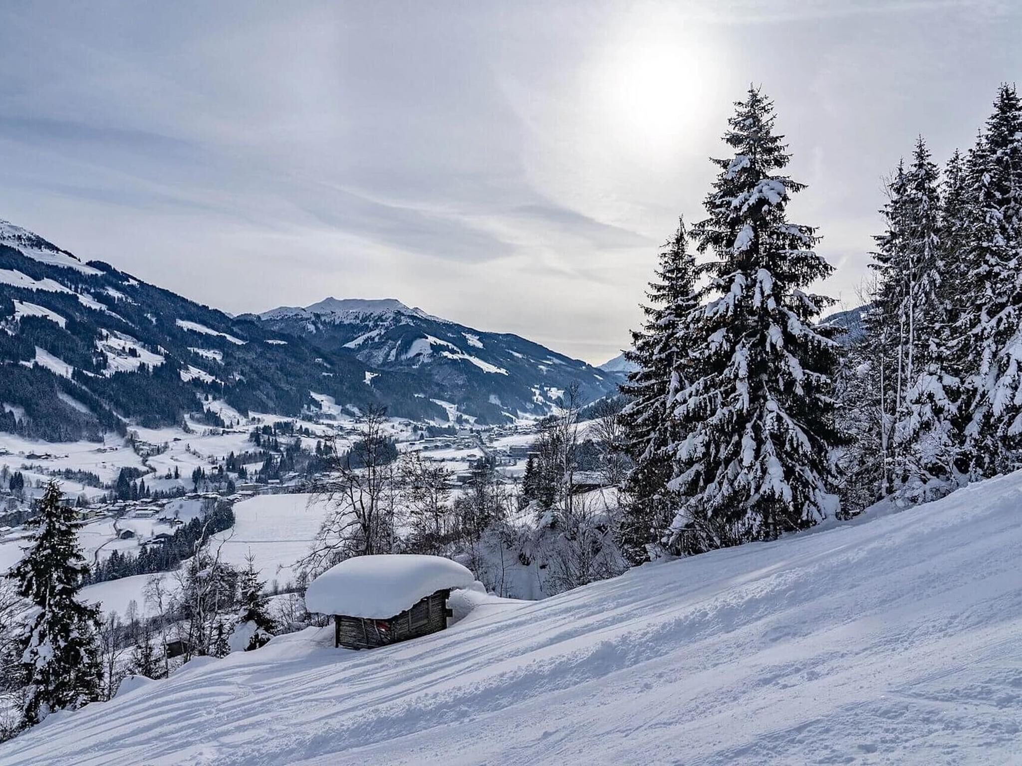 Eine verschneite Berglandschaft mit einer Hütte und Bäumen.