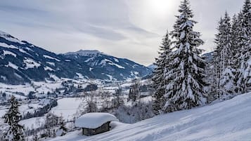 Eine verschneite Berglandschaft mit einer Hütte und Bäumen.