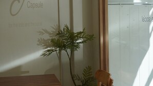A room with a wooden bench, a potted plant, and a wall with 'Trybe Capsule' signage. - Trybe Capsule Hostel Chiang Mai (Chiang Mai)