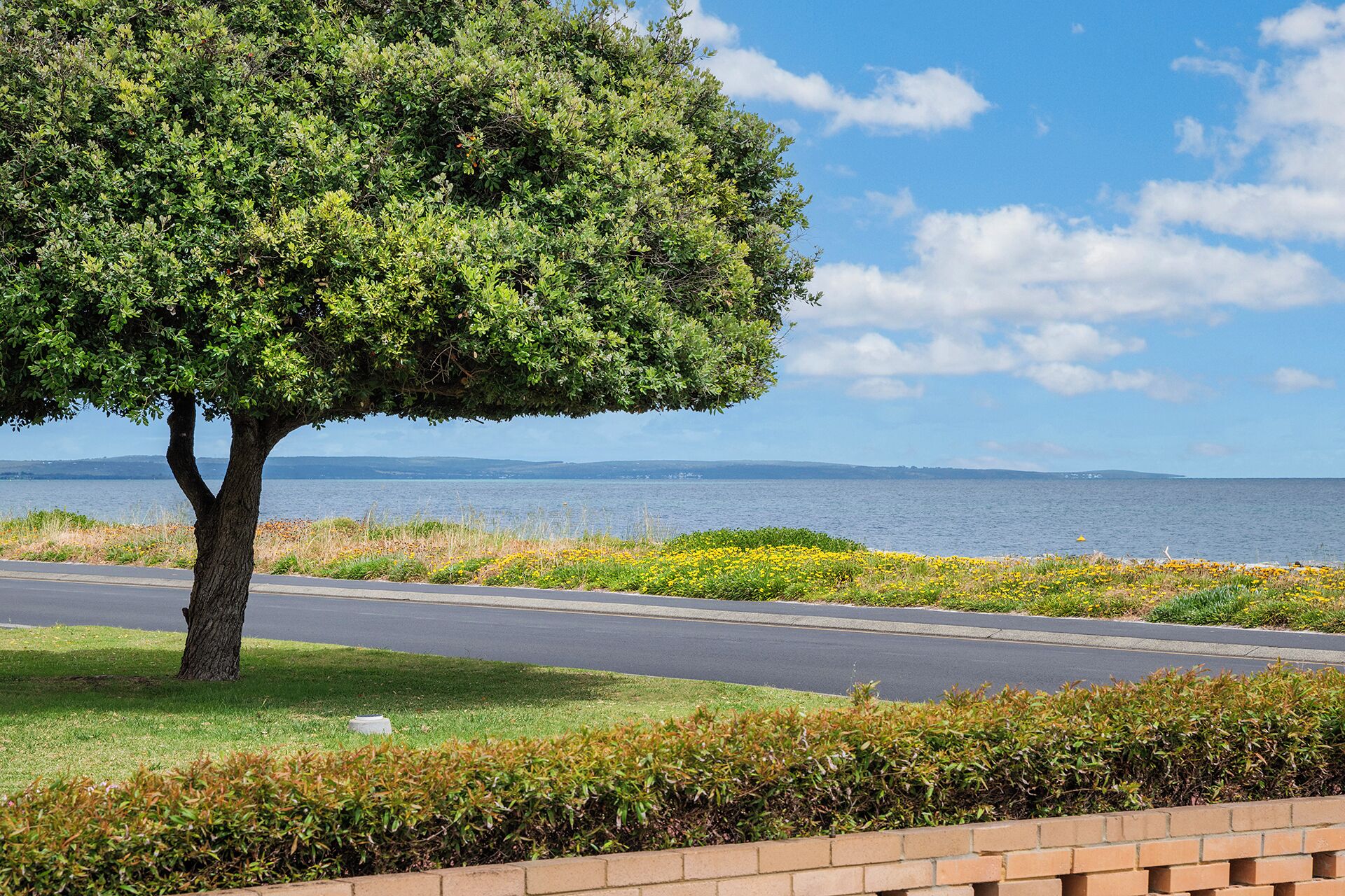 A tree-lined road with a view of a body of water and distant land.