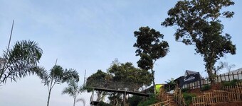 Wake Up in the Hills, Surrounded by Mist, Calm, and Breathtaking Views