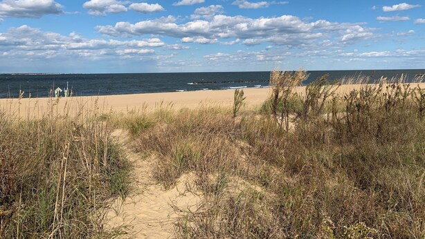 Une plage avec des dunes de sable et une végétation clairsemée.