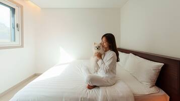 1 habitación y wifi gratis