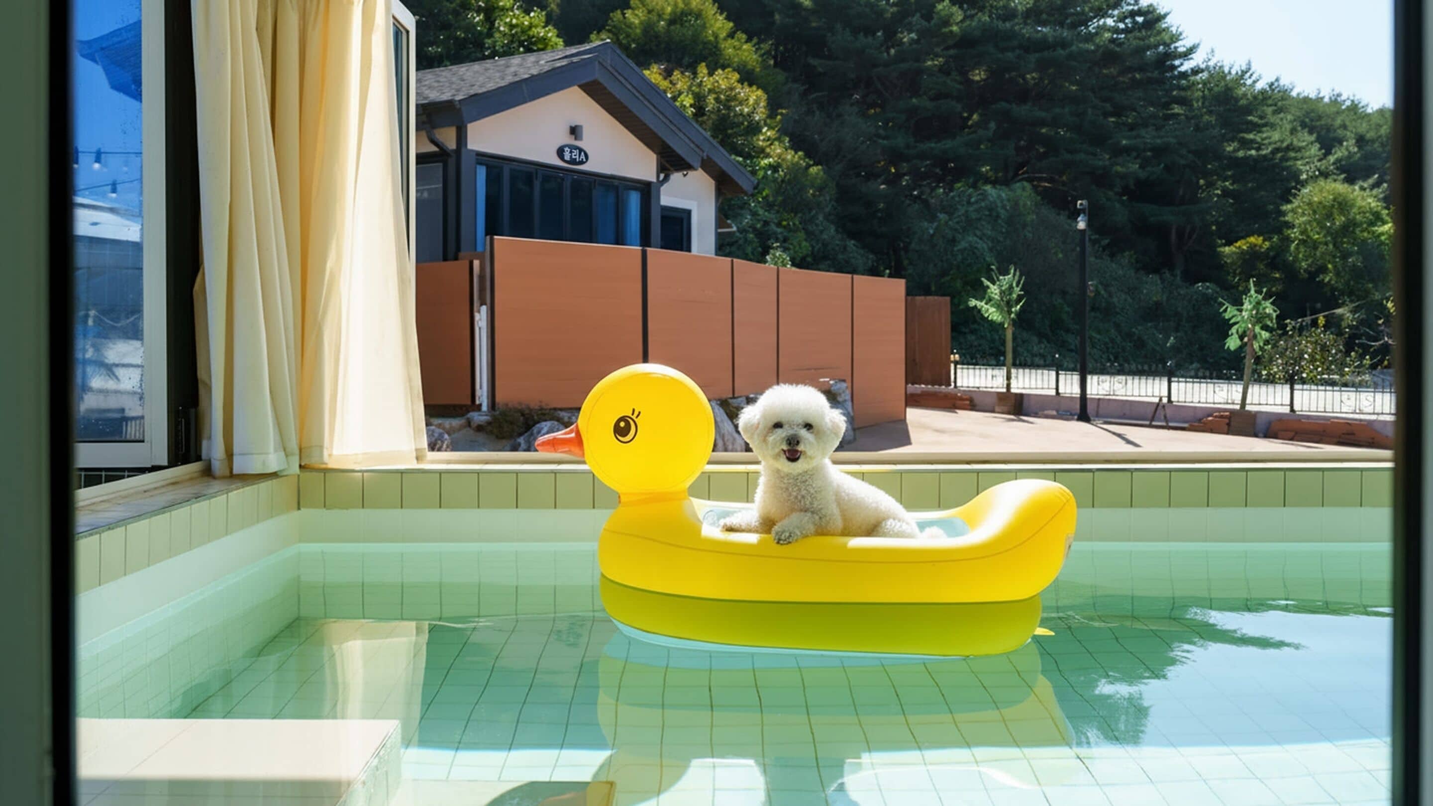 ห้องเบสิก, 1 ห้องนอน (Holy D (Pool Villa/BBQ/Pet Park)) | 1 ห้องนอน, Wi-Fi ฟรี