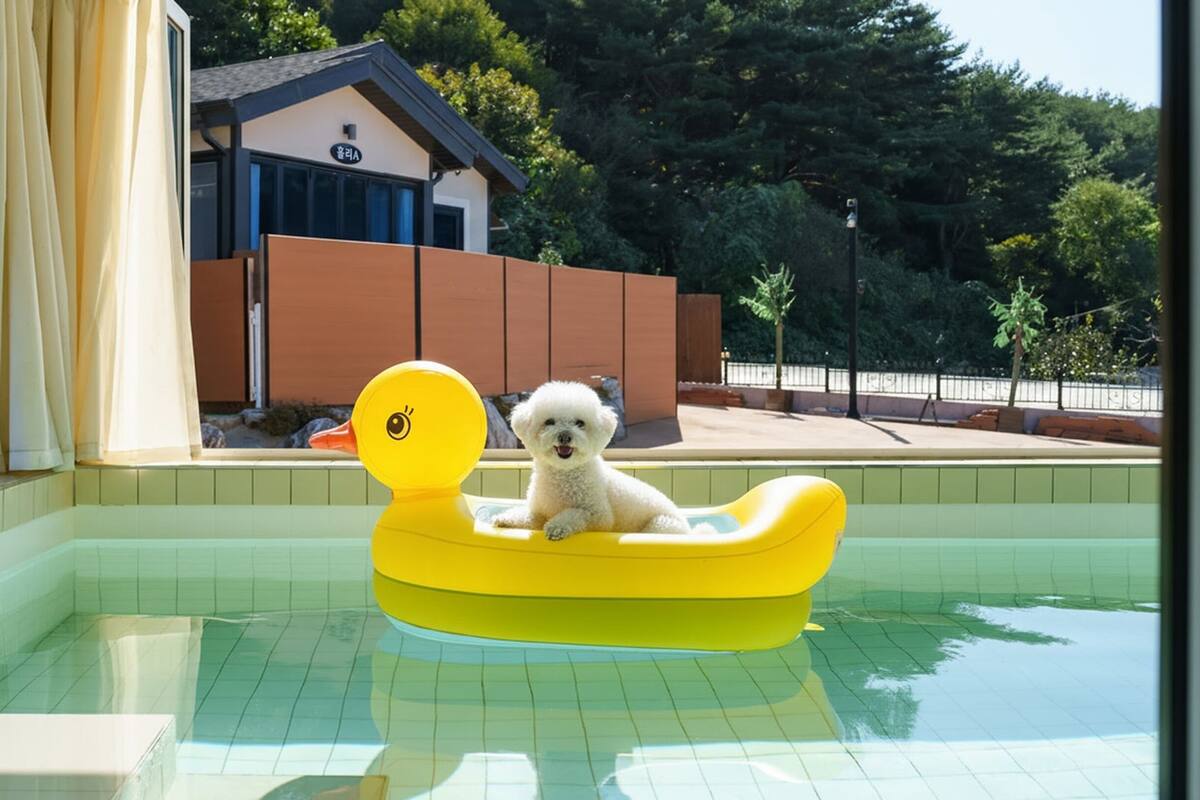 Basic Room, 1 Bedroom (Holy D (Pool Villa/BBQ/Pet Park))